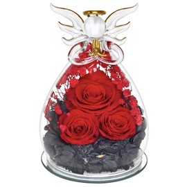 HXYALWAOHK Gifts for Women Preserved Rose Forever Flower in Glass Angel Figurines Fresh Flowers for Delivery Prime Mothers Day Birthday Gifts for Mom Real Roses for Grandma Sister Wife (Red Rose)