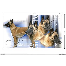 Pets-easy Rechteckige Aufkleber Hund 25 cm Belgische Schäferhunde