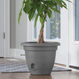 Bloem LP10908 Lucca Self Watering Planter w/Saucer 10", Charcoal Gray
