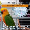 Set of 2 Parrot Toys, Rotating, Sound When Turned, For