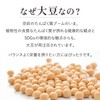 Morita-ya Tofu Everyday Granola with Soybeans and Bran (1 Bag,