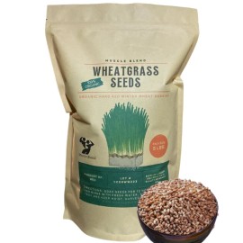 Muscle Blend BULK Organic Wheatgrass Seeds Hard Red Winter Wheat Berries 5-Pounds, USA
