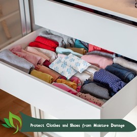 VacYaYa 1 g (250 packs) Food Grade Moisture Absorber Silica Gel Desiccant Packages for Storage, Desiccant Silica Gel Packs, Likewise Safe for Moisture