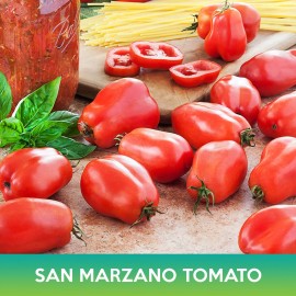 San Marzano Tomato Seeds