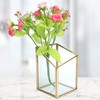 Mini Glass Storage Container Flower Pot Planter Vase Bowl Home