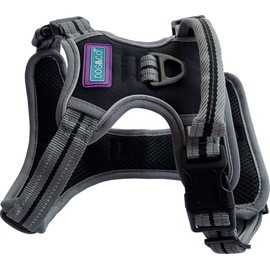Dog & Co Sports Harness, Padded and Reflective, Black Extra Large