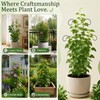 LXCSYXJ Small Trellis for Potted Plants,Trellis for Climbing Plants Outdoor