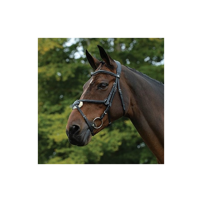Collegiate Comfitec Grackle Bridle - Black Bridle Size - Cob