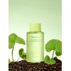Papa Recipe Real Centella Cica Soothing Toner 150ml / 리얼