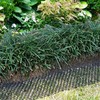 Anti Cat Spikes Pet Deterrent Netting Indoor/Outdoor Deterrent Devices for