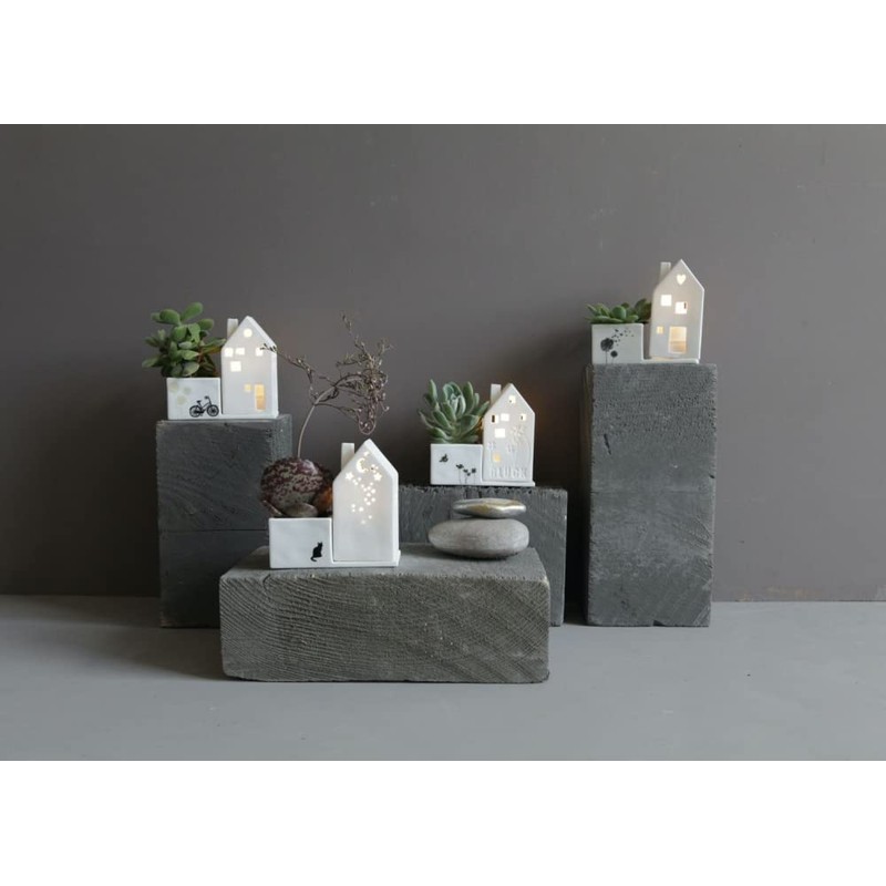 Good old Friends House garden dandelion