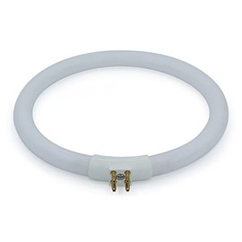 Technical Precision FC12T4/865/LG 12W T4 6400K 5.45" Diameter Circline Fluoescent Lamp Bulb