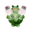 Sitting Frog Salt & Pepper Shaker Holder, Unique Kitchen Decor,