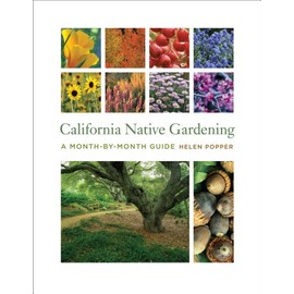 California Native Gardening: A Month-by-Month Guide