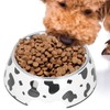 Dog Food and Water Bowl AntiSlip Base Stainless Steel Pet
