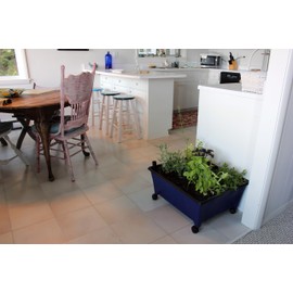 Emsco Group 2370 Hydropickers Compact 24” x 20” Footprint – Mobility Provided by Casters Non-Electric Hydroponics Grow Box, Cobalt Blue