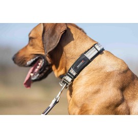 Wolters Active Pro Collar, Size: 52-59 cm, Colour: Champagne/Black