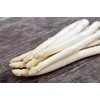 Exotic White Asparagus Seeds for Planting - 100+ Seeds -