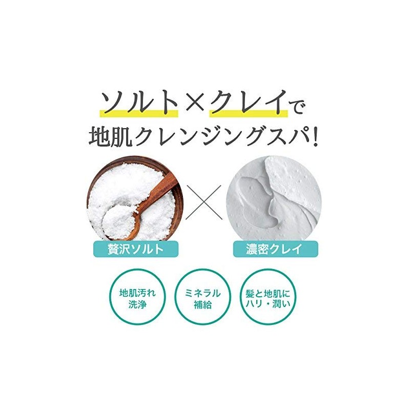 CLAYGE Fresh Cleansing Salt Shampoo, 5.3 oz (150 g)