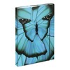 Baagl File Box for School Bag A4 – Portfolio Folder