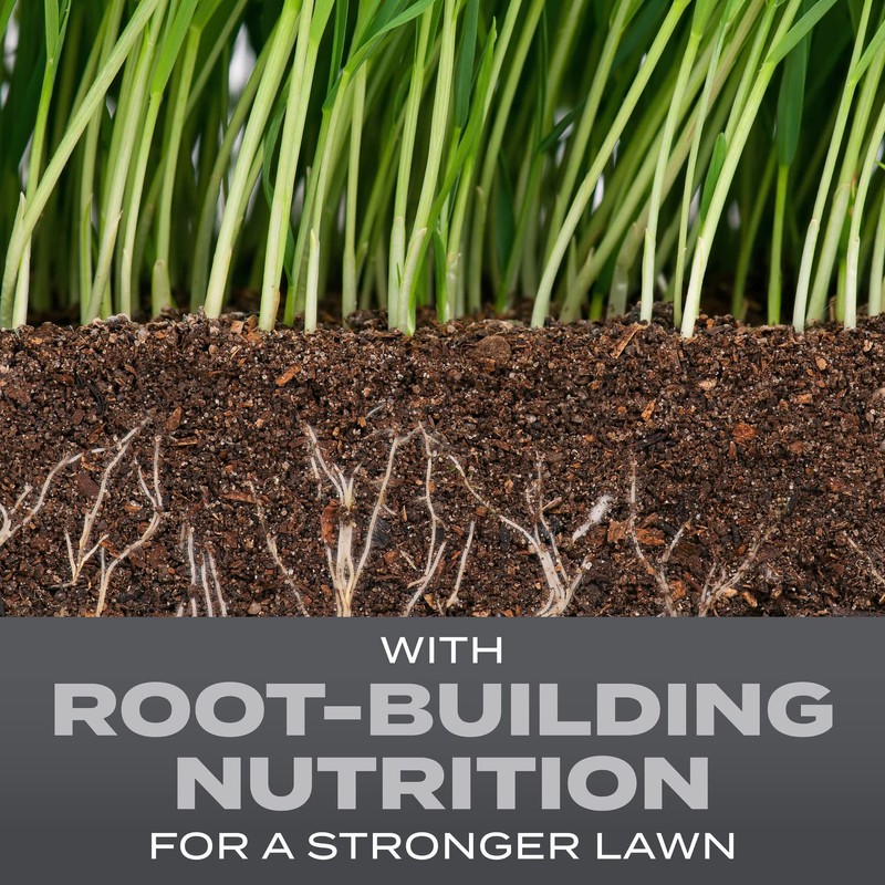 Scotts Turf Builder Grass Seed Northeast Mix - Grass Seed