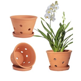 vensovo Terracotta Orchid Pots with Holes and Saucers - Clay Orchid Planter Pots for Repotting, Plant Flower Pots for Orchid Indoor and Outdoor Promotes Air Circulation