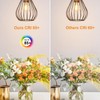 Vinaco A19 LED Edison Bulb Dimmable 8W 120V 2700K Warm