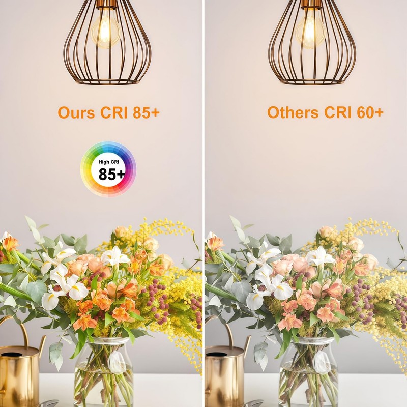Vinaco A19 LED Edison Bulb Dimmable 8W 120V 2700K Warm