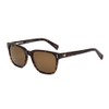 Otis Eyewear Test of Time X ECO Havana Brown Polarized