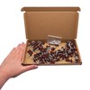 (Pack of 60) Metal Roofing Screws 4.8 x 28 mm