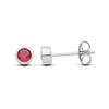 Sterling Silver Garnet Stud Earrings - January Birthstone