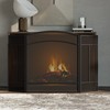 Fire Beauty Fireplace Screen 3 Panel Wrought Iron 48"(L) x