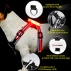 CC SIMON Dog Harness LED Light Up,USB Rechargeable Multicolor Light,