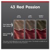Schwarzkopf Brilliance 43 Red Passion