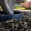 Circular Tree Ring Edging Kit - COR-Ten Steel - Landscape