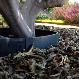 Circular Tree Ring Edging Kit - COR-Ten Steel - Landscape Edging
