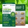 빌로발라이드 징코라이드 은행잎 추출물 정제 감퇴개선 은행엽 Bilobalide Ginkgo Leaf