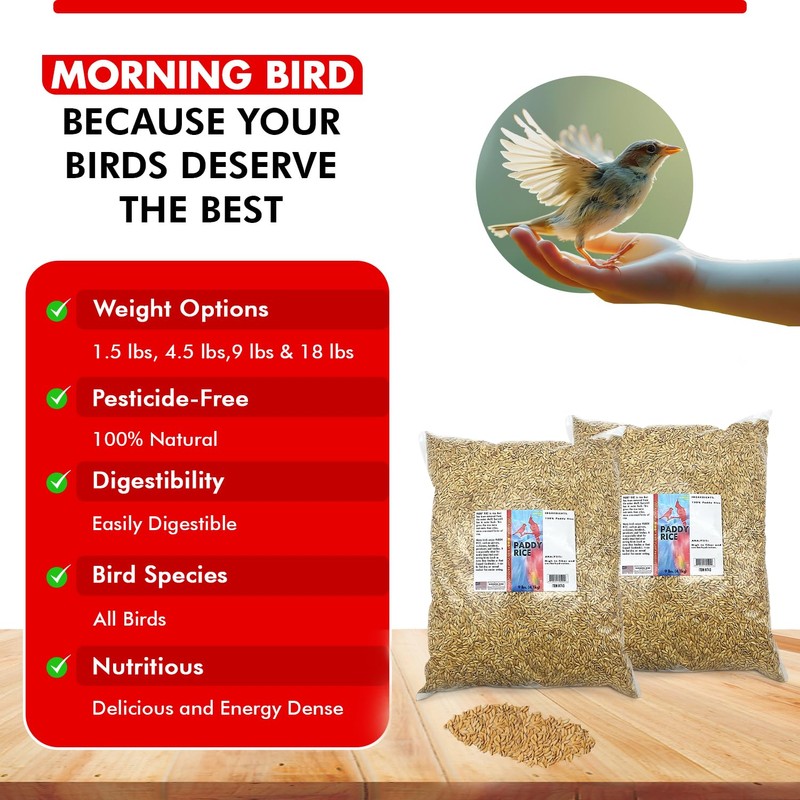 Morning Bird Paddy Rice Bird Seed for Optimal Health &
