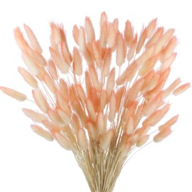 CITYES 120 Pcs Natural Bunny Tails Dried Flowers Rabbit Tail Grass Lagurus Ovatus Dried Flowers Pampas Grass Dried Floral Arrangement for Boho Decor Wedding Party Home DIY Farmhouse Table Orange