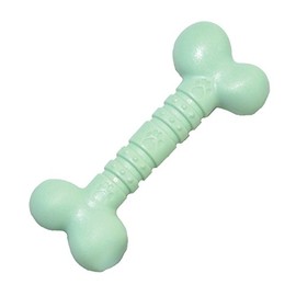 Rosewood small tough and durable chew and teething bone shaped dog toy for puppies and small dogs made of tough nylon material, Mint flavoured and scented, Green