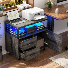 Homieasy Lateral File Cabinet with LED Light, Office Filing Cabinets with 2 Drawers and 1 Door Cabinet, Desk Side Printer Stand with Storage for Office Supplies, Black Oak