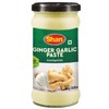 Shan - Ginger Garlic Paste, 24.69 oz (700g) - Authentic