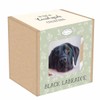 Tarka Mugs - Black Labrador