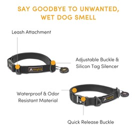 OllyDog Tilden Collar, Waterproof Dog Collar with Quick Release Buckle, Coated Stink-Proof Webbing, Lightweight Collar for Large, Medium and Small Dogs (Large, Black)