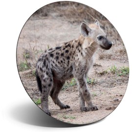 Destination Vinyl ltd Magnet for Refrigerator, Fridge - Cute Hyena Cub Wild Animal for Office, Cabinet and Whiteboard, Magnetic Stickers, 3373