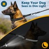 Crazy Felix No Pull Martingale Collar for Large Medium Small