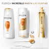 Pantene Pro-V Shampoo Fuerza Y Reconstrucción 500 ml