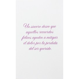 Con Nuestra Mas Profunda Simpatia - With Our Deepest Sympathy Greeting Card in Spanish (Death RIP Funeral)