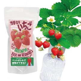 Indoor Growing Kit, Strawberry, Easy Growing Set, Growing with Plastic Bottles, Vegetables, Free Research