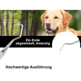 Dog Tartar Remover / Scraper Scaler for Pets Stainless Steel for Teeth Cleaning Dental Care Tartar Scraper Tartar Remover